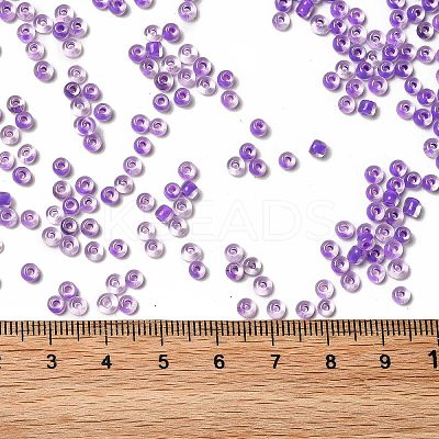 12/0 Transparent Glass Seed Beads SEED-F003-03C-09-1