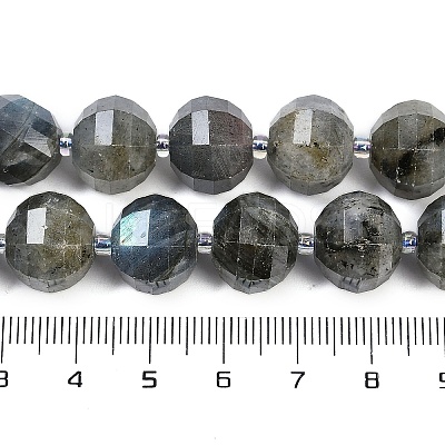 Natural Labradorite Beads Strands G-G182-B02-07-1
