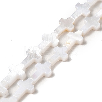 Natural Freshwater Shell Beads Strands X-BSHE-E026-18-1