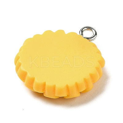 Opaque Resin Pendants FIND-H045-01A-1