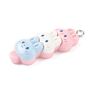 Animal Theme Resin Pendants LS-RESI-V005-001B-1