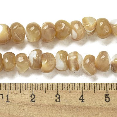 Natural Trochus Shell Beads Strands BSHE-G039-01A-1