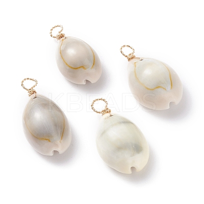 Natural Cowrie Shell Dyed Pendants PALLOY-JF01206-1