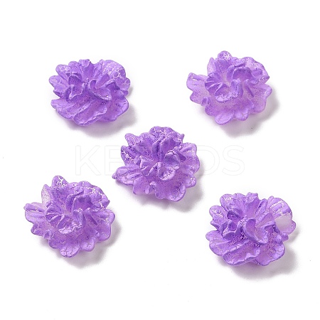 Opaque Resin Cabochons LS-RESI-E049-03B-1