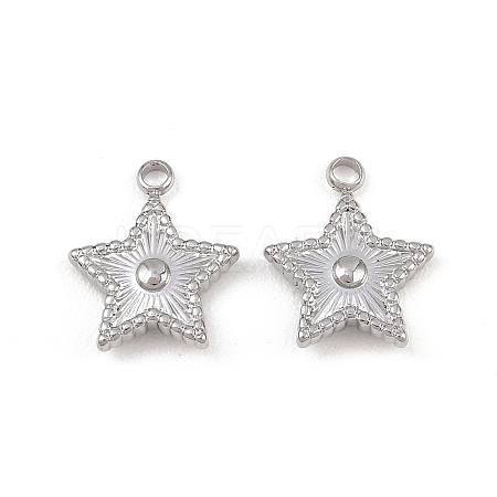 304 Stainless Steel Pendants LS-STAS-I363-14P-1