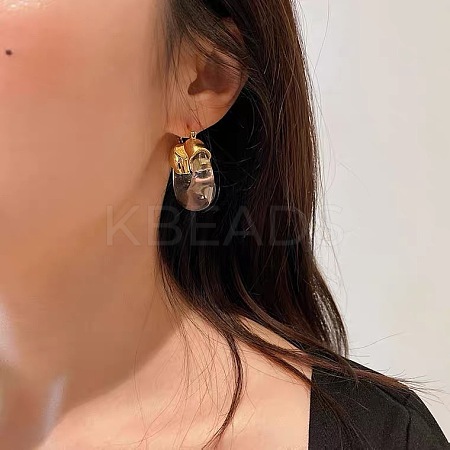 Retro Alloy Resin U-Shaped Hoop Earrings FS-WG1DDE7-01-1