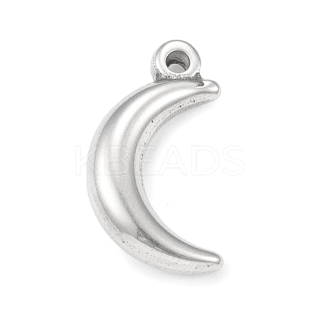 Non-Tarnish 304 Stainless Steel Pendants LS-STAS-F287-31P-1