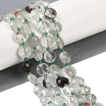 Natural Green Lodolite Quartz/Garden Quartz Beads Strands G-B094-A19-01-1