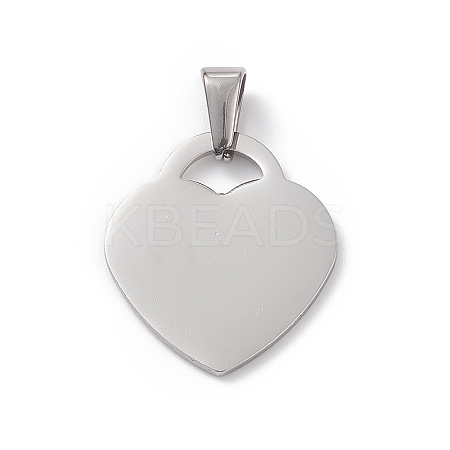 Non-Tarnish 304 Stainless Steel Pendants LS-STAS-G284-19P-1