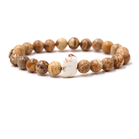 Natural Picasso Jasper & Synthetic Turquoise Beads Stretch Bracelets for Men Women QO0012-11-1