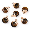 Natural Tiger Eye Flat Round/Donut Charms G-I347-07-1