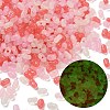 Luminous Transparent Acrylic Beads LACR-D009-01D-1
