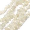 Natural White Moonstone Beads Strands G-P332-01-2