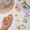 6 Sets 6 Styles PET Transparent Laser Stickers Set DIY-SP0006-21-3