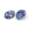 Natural Blue Spot Jasper Cabochons G-H094-01A-22-2