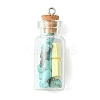 Wishing Bottle Glass Bottle Pendants PALLOY-JF02127-2