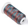Segment Dyed Round Polyester Sewing Thread OCOR-Z001-A-18-2