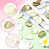 Polyester Artificial Rose Flower Petals AJEW-WH20067-107P-3