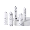 Tower Natural Howlite Home Display Decoration PW-WG20981-18-1