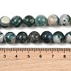 Natural Tree Agate Beads Strands X-G-I199-03-10mm-6