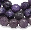 Natural Lepidolite/Purple Mica Beads Strands G-B165-A11-10mm-3