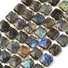 Natural Labradorite Beads Strands G-L642-L02-10mm-2
