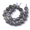 Natural Labradorite Beads Strands G-S345-10mm-005-2
