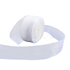1 Rolls Sheer Organza Ribbon SRIB-CY0001-22C-10-7