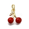 Brass Micro Pave Cubic Zirconia Charms KK-S515-056G-1
