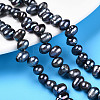 Natural Cultured Freshwater Pearl Beads Strands PEAR-N013-05L-01-1