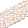 Natural Cultured Freshwater Pearl Beads Strands PEAR-N012-05B-01-2