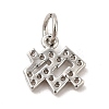 Brass Micro Pave Cubic Zirconia Charms KK-E077-02P-09-2