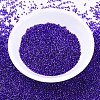 MIYUKI Delica Beads SEED-X0054-DB0610-2