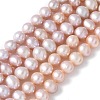Natural Cultured Freshwater Pearl Beads Strands PEAR-I007-07O-05B-2