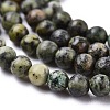 Natural African Turquoise(Jasper) Beads Strands X-G-N0188-02-3mm-6