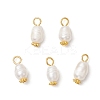 Natural Cultured Freshwater Pearl Rice Pendants PALLOY-JF03922-02-1
