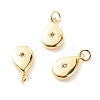 Brass Micro Pave Clear Cubic Zirconia Pendants LS-ZIRC-P094-10G-RS-1