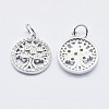 Brass Micro Pave Clear Cubic Zirconia Charms ZIRC-J040-10P-NR-2