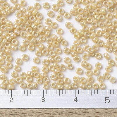 MIYUKI Round Rocailles Beads X-SEED-G007-RR0488-1