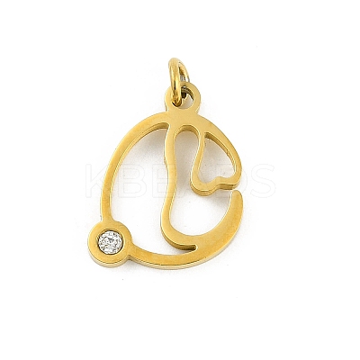 304 Stainless Steel Pendants LS-STAS-R137-01G-C-1