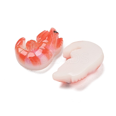 Resin Cabochons RESI-R456-04A-1
