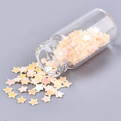 Glass Wishing Bottle Pendant Decorations GGLA-S036-05-1