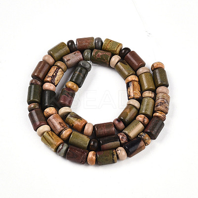 Natural Picasso Jasper/Polychrome Jasper Beads Strands G-N346-03A-05-1
