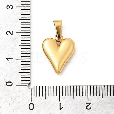 304 Stainless Steel Pendants LS-STAS-C163-02B-G-1