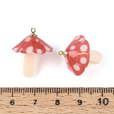 Plastic Pendants KY-N015-118B-01-1