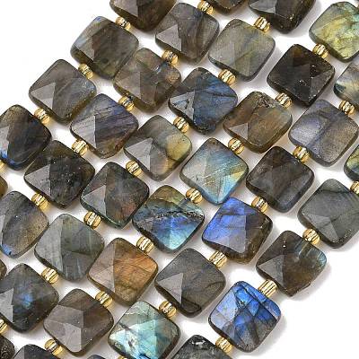 Natural Labradorite Beads Strands G-L642-L02-10mm-1