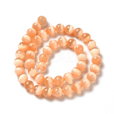 Natural Selenite Beads Strands G-P493-01I-1