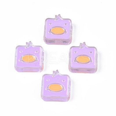 Transparent Acrylic Beads ACRC-S039-09D-1