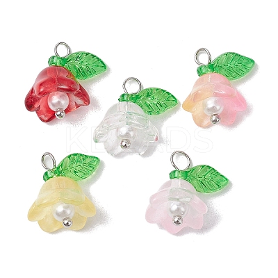 Mixed Color Glass Pearl & Acrylic Charms PALLOY-JF02567-01-1