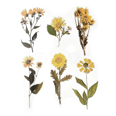 6Pcs Plant PET Adhesive Waterproof Stickers DIY-K074-01D-1